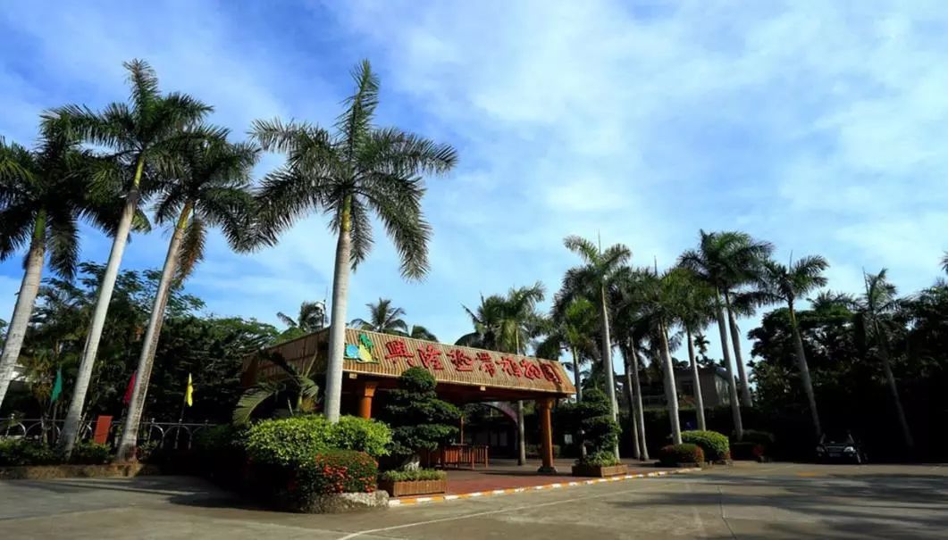 比巴厘岛的低调的海岛,这才是向往的生活!(图7) 比巴厘岛的低调的海岛,这才是向往的生活!(图7)